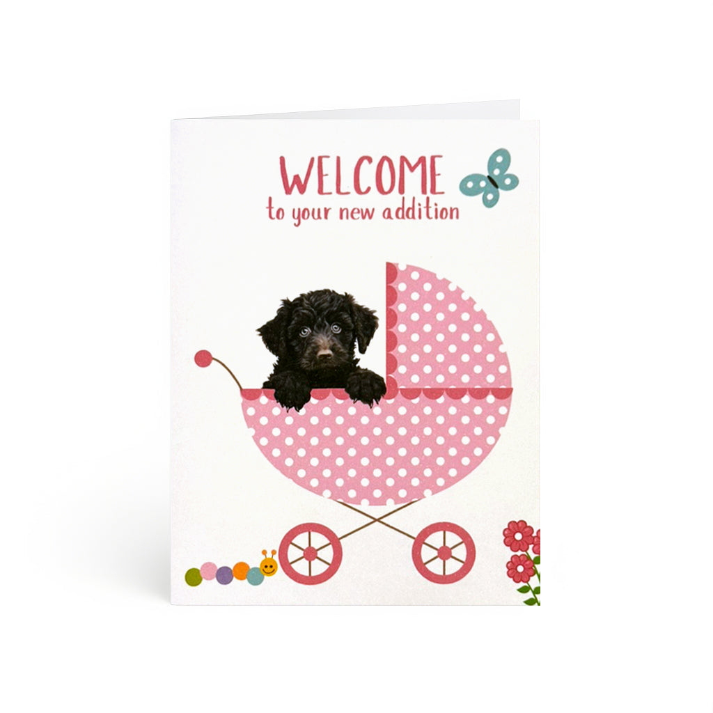 Adorable puppy in pink polka-dot carriage for new addition