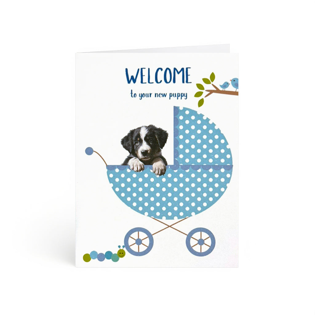 Irresistible puppy peeking from a blue polka-dot baby carriage