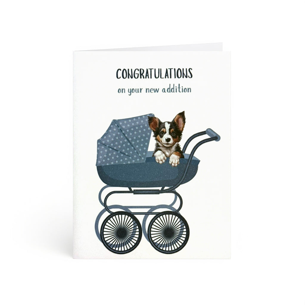 Sweet puppy in navy polka-dot pram, congratulations new addition