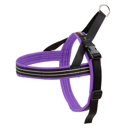 purple dog haress for all levels of activity American made for active dogs