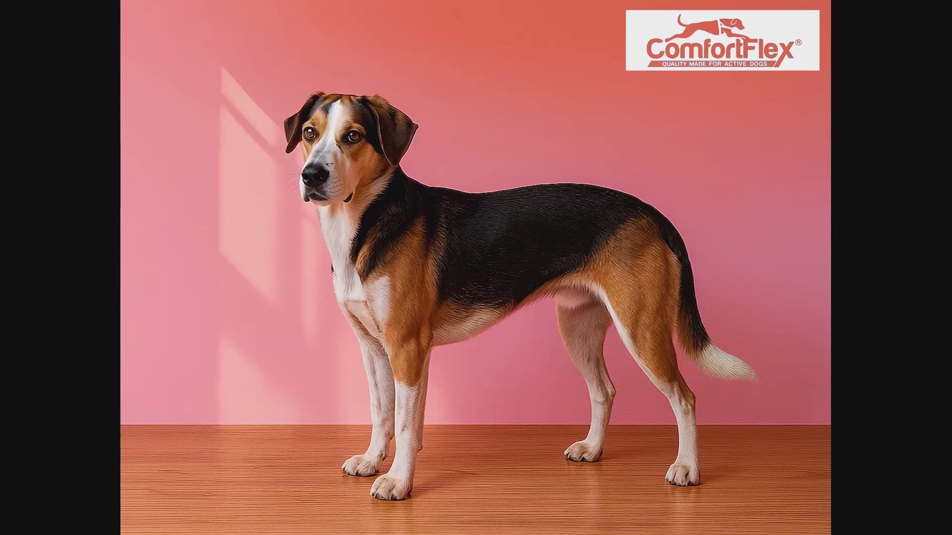 American Made No-Choke, No-Chafe Dog Harness | ComfortFlex Sport